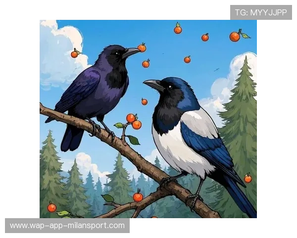 乌鸦那场真漂亮，攻防一体的范本，乌鸦salt